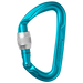 Edelrid Pure Screwgate Carabiner in Icemint Colourway