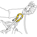 Petzl Rollclip Z Diagram showing pulley can be used for tree care to attach the ZIGZAG descender to the attachment bridge on the SEQUOIA harness, for improved lateral mobility.