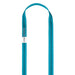 Edelrid X-Tube 25mm Sling in Icemint Blue Colourway 