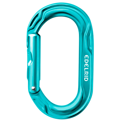 Edelrid Kiwi Karabiner in Blue Icemint colourway